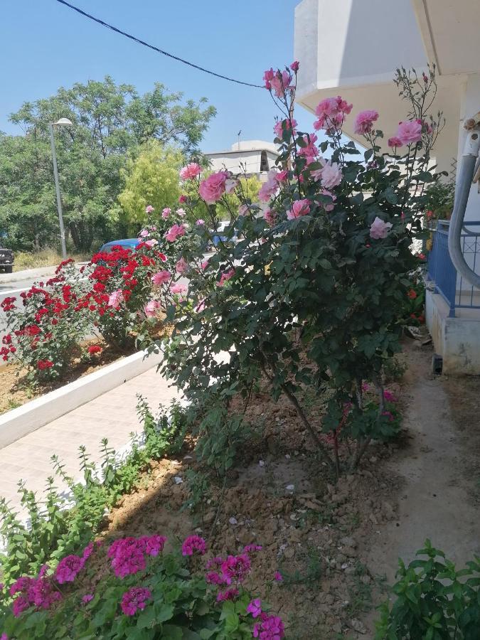 Elva Creta Apartment Heraklion  Exterior photo